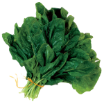Bayam_Nafsu_Makan