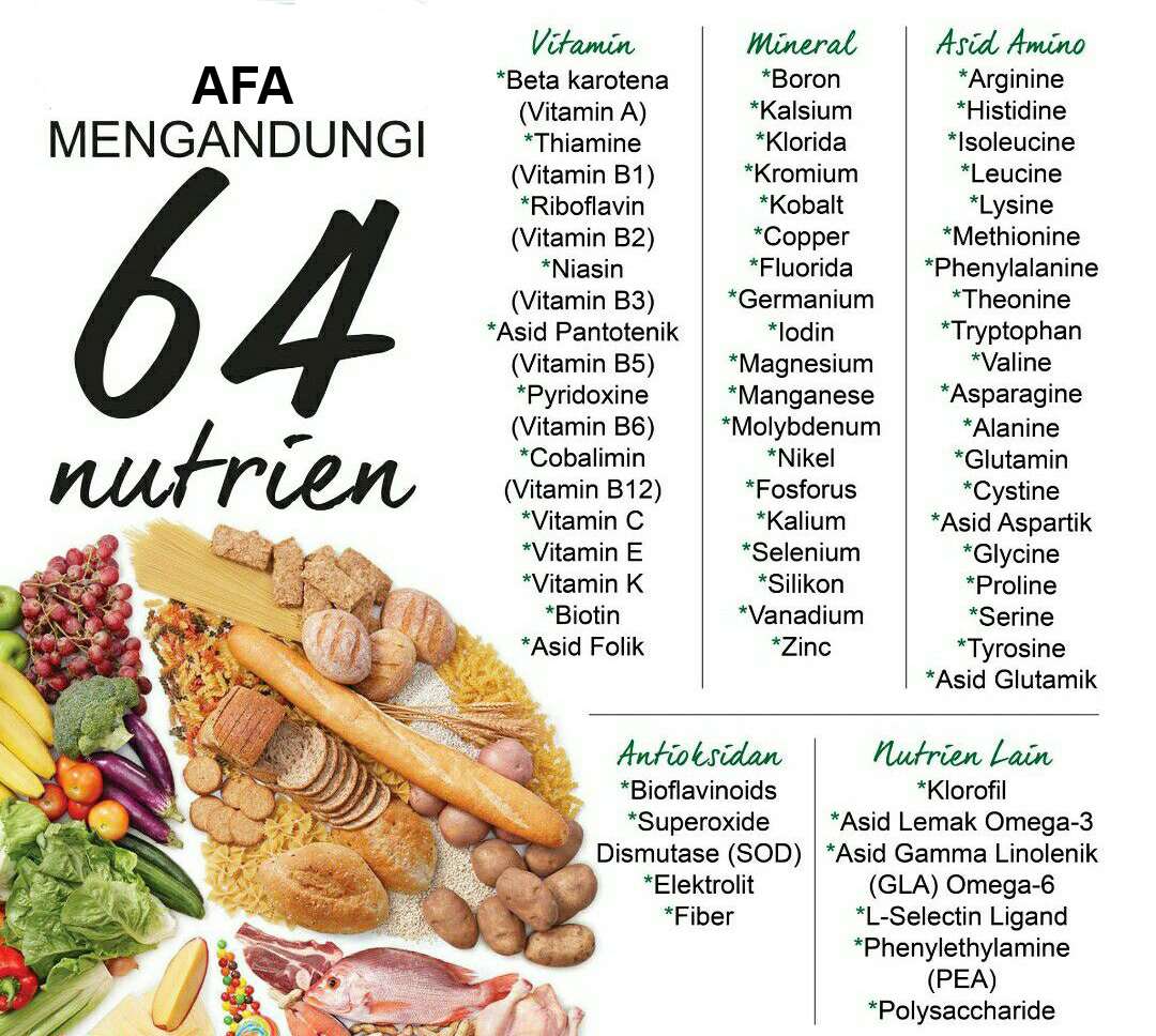 AFA - Aphanizomenon Flos Aquae